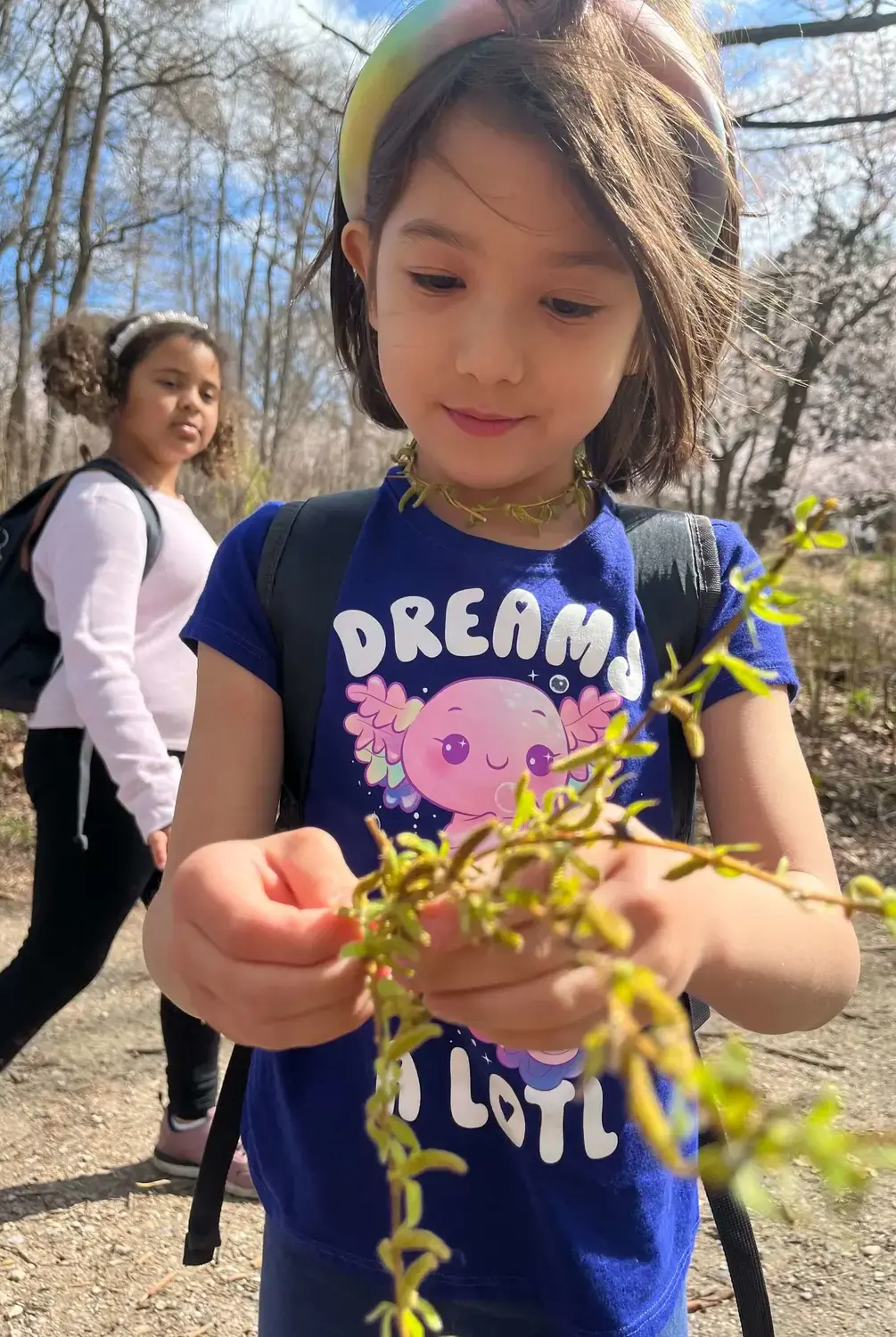 Content - Portrait Image