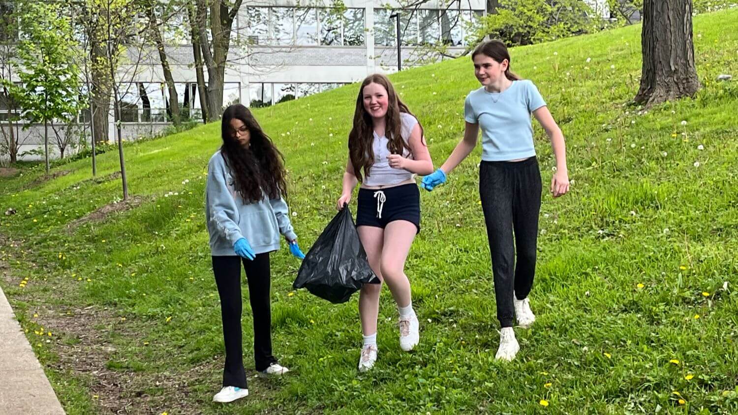 OptimizedImage,,,Optimized