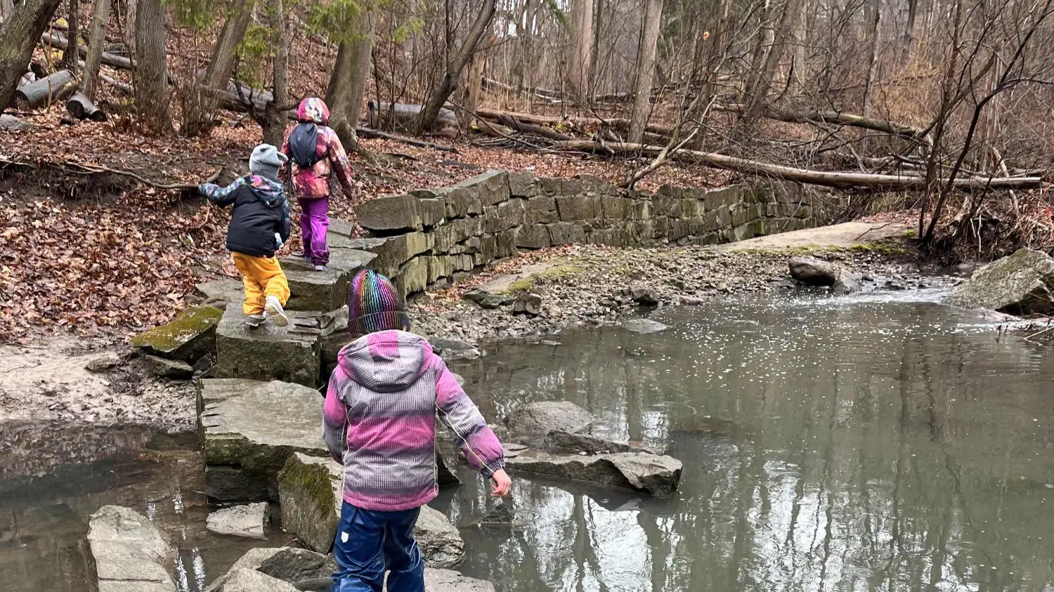 OptimizedImage,,,Optimized