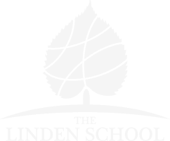 OriginalImage,,,Original