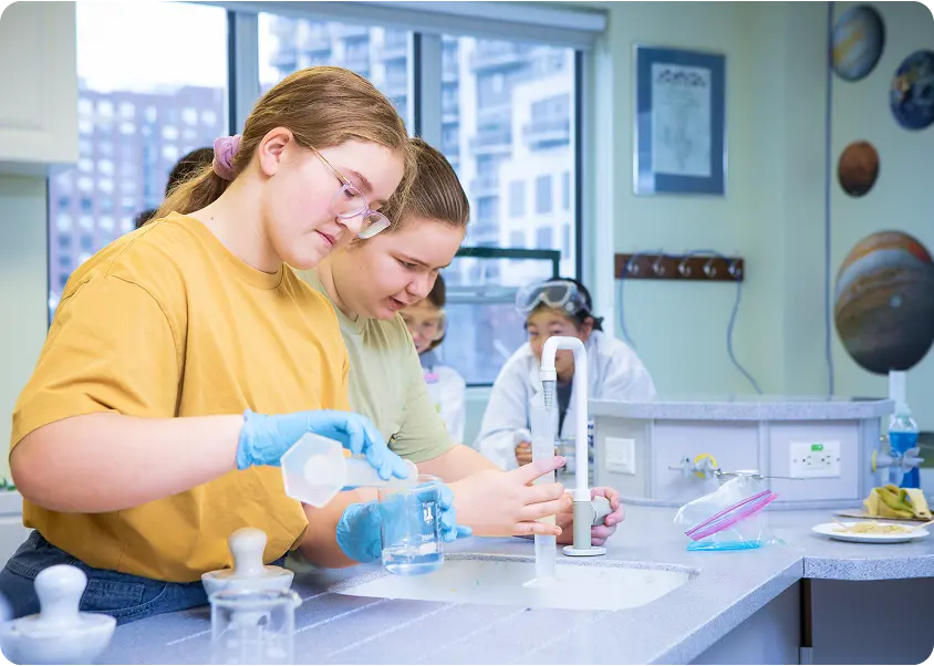 OptimizedImage,,,Optimized